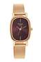 Raga Viva Brown Dial Analog Stainless Steel Strap Watch for Women - 2