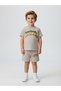 Boys Garfield Printed T-Shirt and Shorts Set |   2-3 Years Old |   Gray