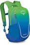 unisex-adult Daylite Youth Pack Backpack
