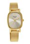 Raga Viva Champagne Dial Analog Stainless Steel Strap watch for Women - 2