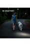 HF4R Core Black headlamp - 500 Lumens (Blue) - 6