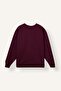 Oversize Crew Neck Printed Thick Sweatshirt I3322Ax26Wn - 2