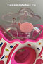 Children's Donut Water Bottle - Pink - 4