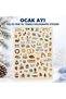 January Winter and New Year Themed Holographic Decorative Sticker – 1 Sheet