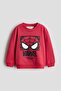 Printed brushed-inside sweatshirt