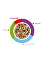 Sunmix Parakeet Feed 750gm - 2
