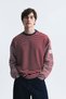Contrast Collar Striped Sweatshirt - 4