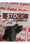 Stock Ta Kalmadı Hologram 18 cm 1 Piece