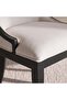 CELANDINE DINING CHAIR - BEIGE & BLACK - 4