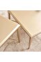 TOADKING COFFEE TABLE 2 END TABLE SET - BEIGE - 5