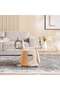 ROSELLE COFFEE TABLE - SILVER ROSE GOLD - 2