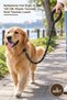 3 Pieces Pet Leash – Reflective Knitted Cord 12 mm 120 Cm, Dog Leash Cat Leash Leash