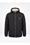 Winter Jacket