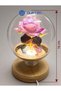 Romantic Couple and Pink Rose Detailed Glass Jar Night Light Illuminated Decor with Wooden Base - 3