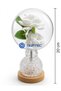 Glass Jar with White Rose Detail on the Inside, Wooden Base, Night Light, Table Lamp, Gift, Decorative Lighting (20 cm) - 4