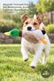 10 Pieces Sound Duck Plush Dog Toy – Durable Soft Plush, Internal Sound Mechanism, Hunting Instinct, Squeaky Dog Toy