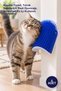 5 Pieces of Cat Scratching Device – Scratching Panel, Cat Toy for Nail Care, Scratcher, for Indoor Use