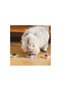 4 Pcs Crab Catnip Play Ball – Sticky Catnip Toy, Edible Cat Toy, Chemical-Free, Long-Lasting Interest - 6