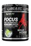 BIG & FIT SPORTS NUTRITION Wild Horse Pre-Workout Supplement 380g (mojito)