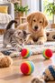 3-Pack 4.2 cm Rainbow Sponge Cat Dog Play Ball Chew and Roll Toy - 4