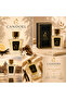 More Than Words Extrait de Parfum 50 ML - 4