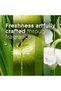 Aerosol Spray Morning Freshness, Fast Acting Odour Eliminator, 300ml - 4