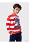 Sonic Printed Striped Boys' Set - 2