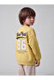 Striped Boys' Sweatshirt 2-Pack - 5