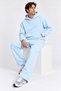 Premium Hooded Sweatshirt