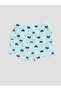Peak New Season Blue Printed Boys' Boxer 3-Pack - 5