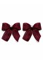 Pearlized Burgundy Ribbon Clip Buckle Set - 4