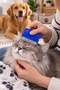 Blue 6 cm Cat Dog Lice Flea Comb Fine Metal Teeth Tear Stain Removal Comb - 3