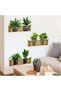 3 Pieces of Plant Design Adhesive Stickers with Shelves – Transparent Background Laser Cut Patterned Wall Glass Furniture Decor Plant Decal - 4