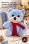 2 Pieces Plush Teddy Bear - Blue Plush, Soft Design, 25 Cm, Teddy Bear Plush for Gift
