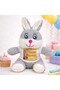 5Pcs Birthday T-Shirt Cute Plush Rabbit - 25 cm Soft Plush, Grey-White Combination, Happy Birthday Printed T-Shirt, Gift Toy Plush Bunny - 2