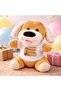 2 Pieces Happy Birthday T-Shirt Plush Dog - 25 cm Soft Plush, Birthday Gift, Toy, Plush Toy - 2