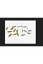 50 Pcs Miyuki Sealing Apparatus (50 Pieces) 10mm - 3