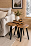Spectra Coffee Table Set of 3
