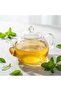 Sugarfree Sweetener - 100% Pure Stevia Leaves Extract - Natural Stevia Dry Leaves 100gm |Sugar Free/Zero Calorie Leaves/Sugar free sweetener Extract - 6