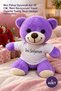 1 Piece Plush Teddy Bear – Purple Plush Toy Bear 25 Cm, Teddy Bear with T-Shirt with "I Love You" Written, Gift