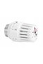CAP TERMOSTATIC - DART.400 - 2