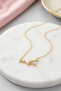 Star Chart Leo Zodiac Sign Leo Steel Necklace - 2