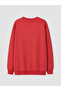 Two Mt Shop Quality Pink Printed Boys' Sweatshirt - 3