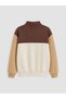 Ozmarka New Season Brown Color Blocked Boys' Thick Sweatshirt - 4