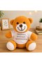 1 Piece Plush Teddy Bear - Plush Gift Bear with Printed T-Shirt for Teachers' Day, Mixed Color, 25 Cm, Teacher Gift - 2