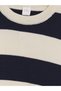 Navy Blue Crew Neck Striped Boy's Knitwear Sweater - 3