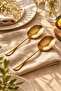 2-Piece Gold Large Size Stainless Steel Serving Spoon Professional Presentation Spoon 25 cm