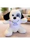 2 Plush Dogs - Plush Toy with T-Shirt and "I'M Sorry" Print, Black and White Design, High Quality Plush, 25 cm - 2