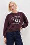 3 Threaded Unprinted 1875 Printed Oversize Sweatshirt - 5