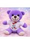 10 Plush Teddy Bears – Happy Couple Figure Toy with T-Shirt, Gift and Room Decoration, Plush Teddy Bear - 2